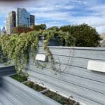 Eichelberger planters